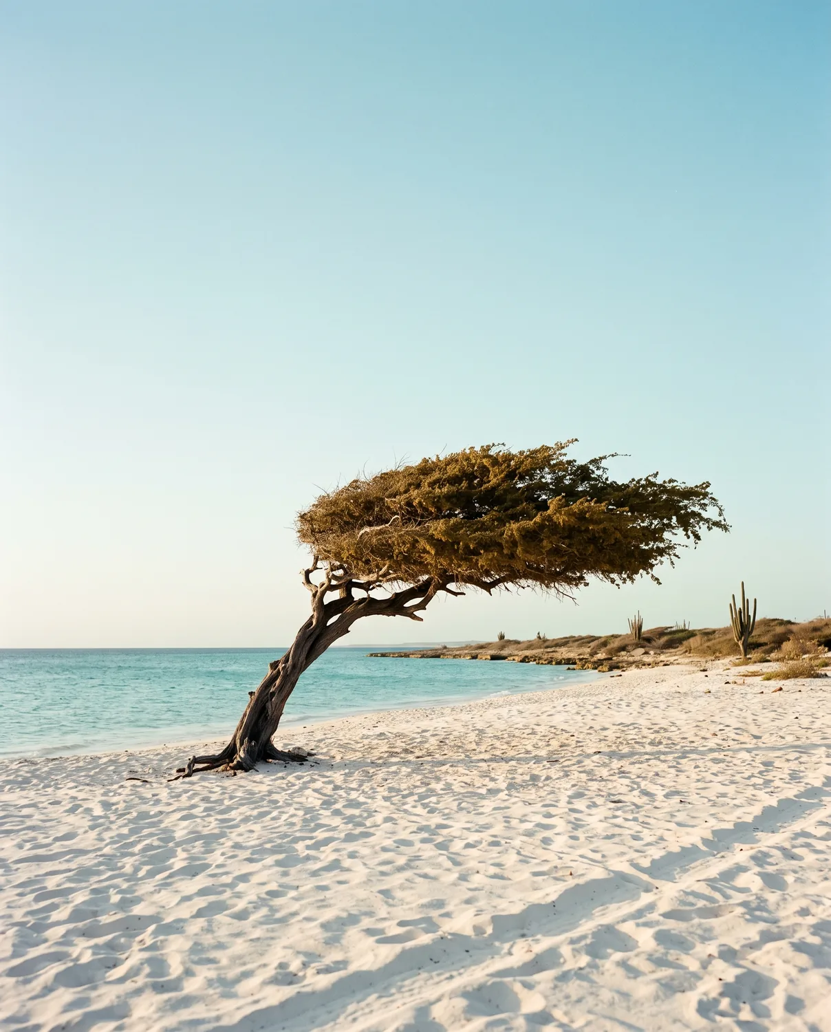 Aruba