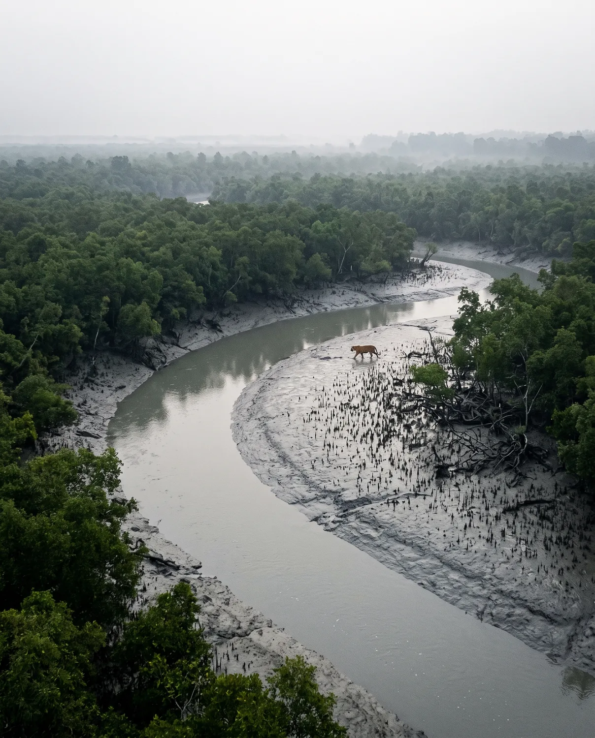 Bangladesh