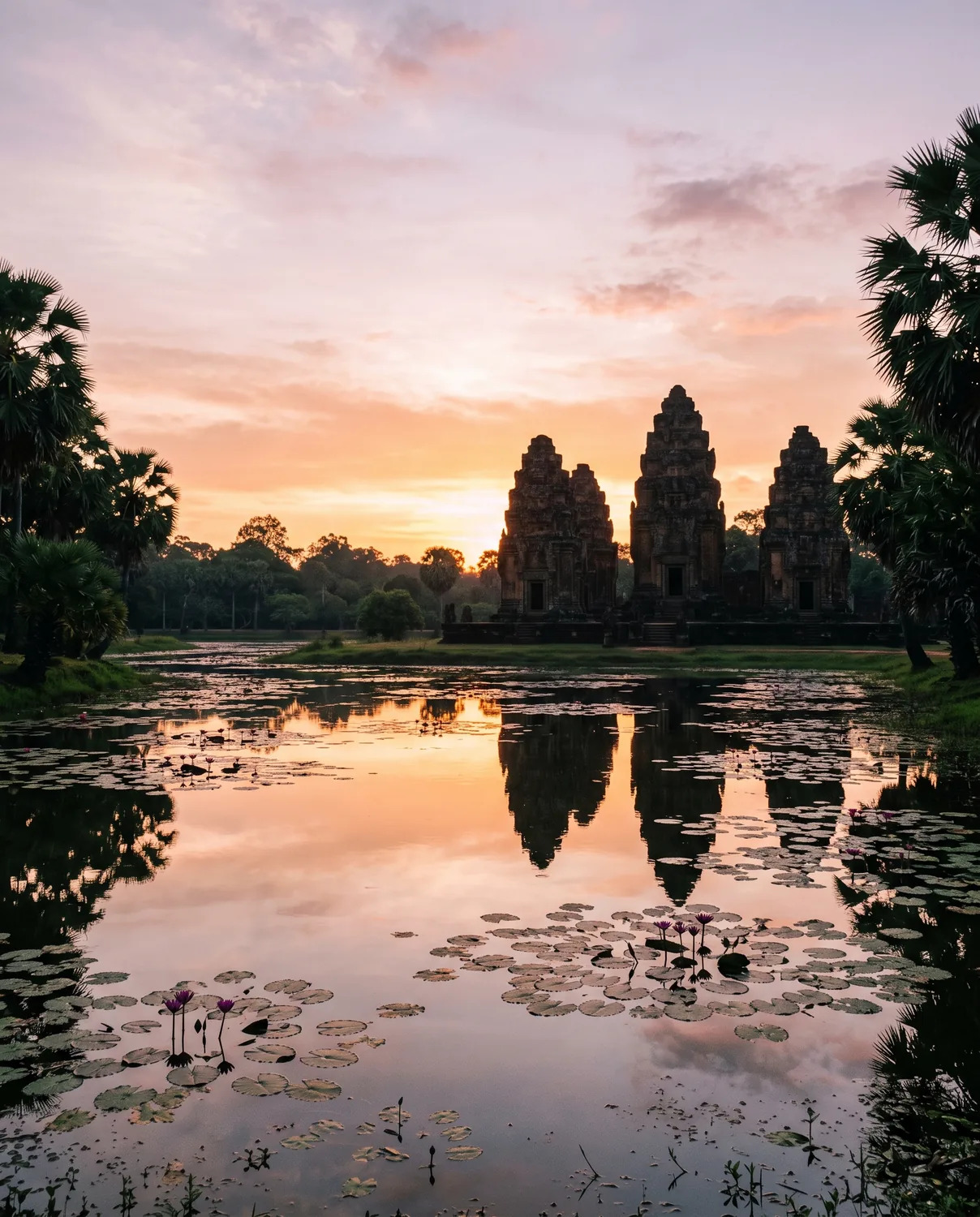 Cambogia