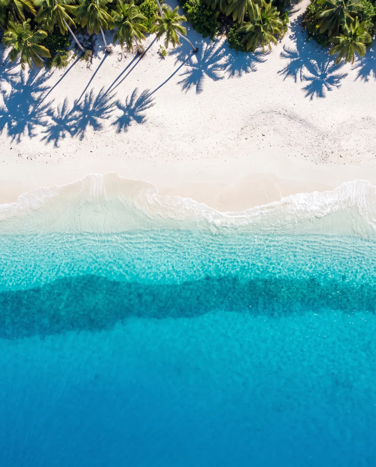 Caribbean