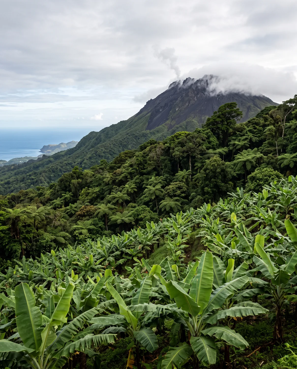 Guadeloupe