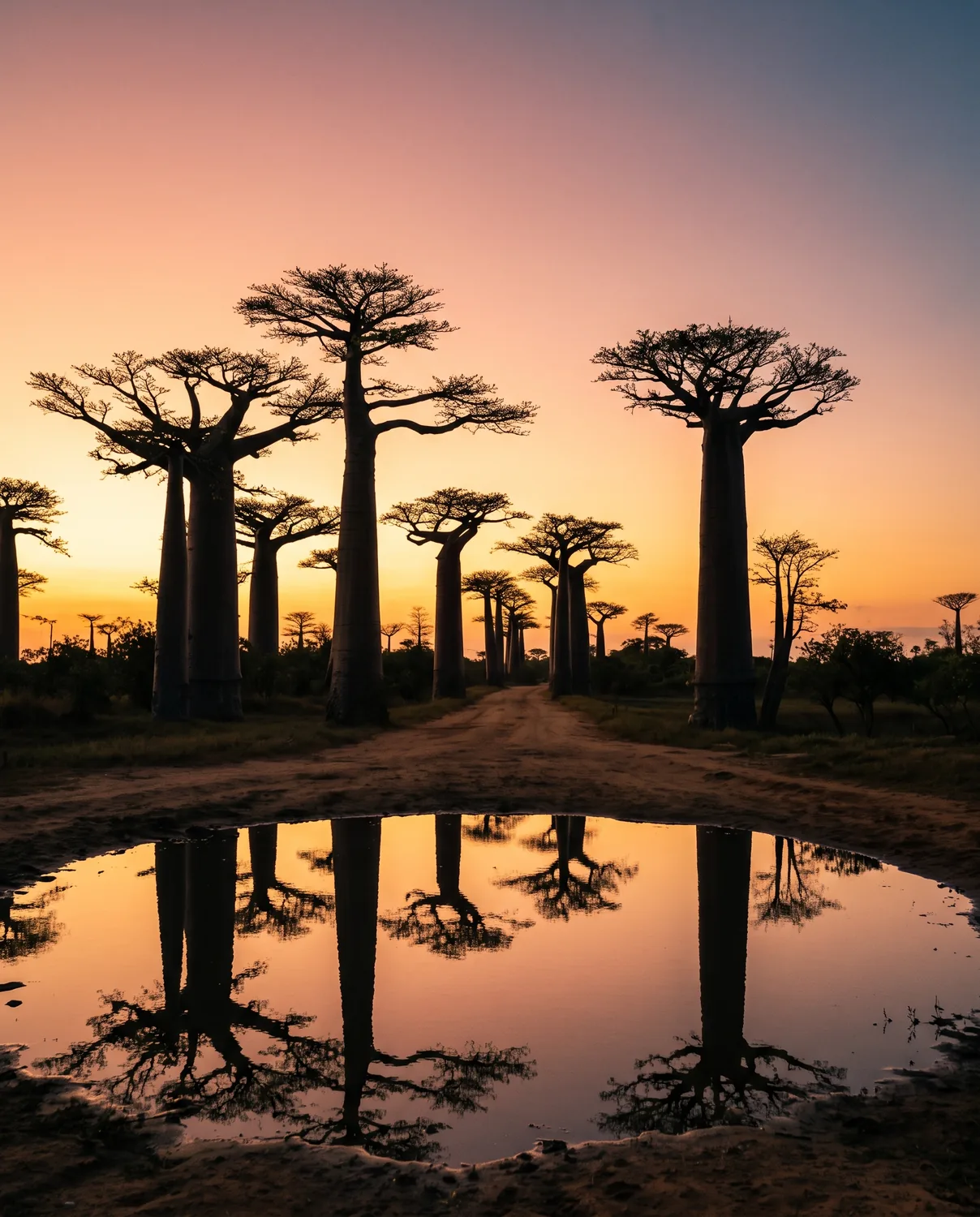 Madagascar