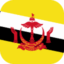 Brunei Darussalam - 10GB - 30 jours
